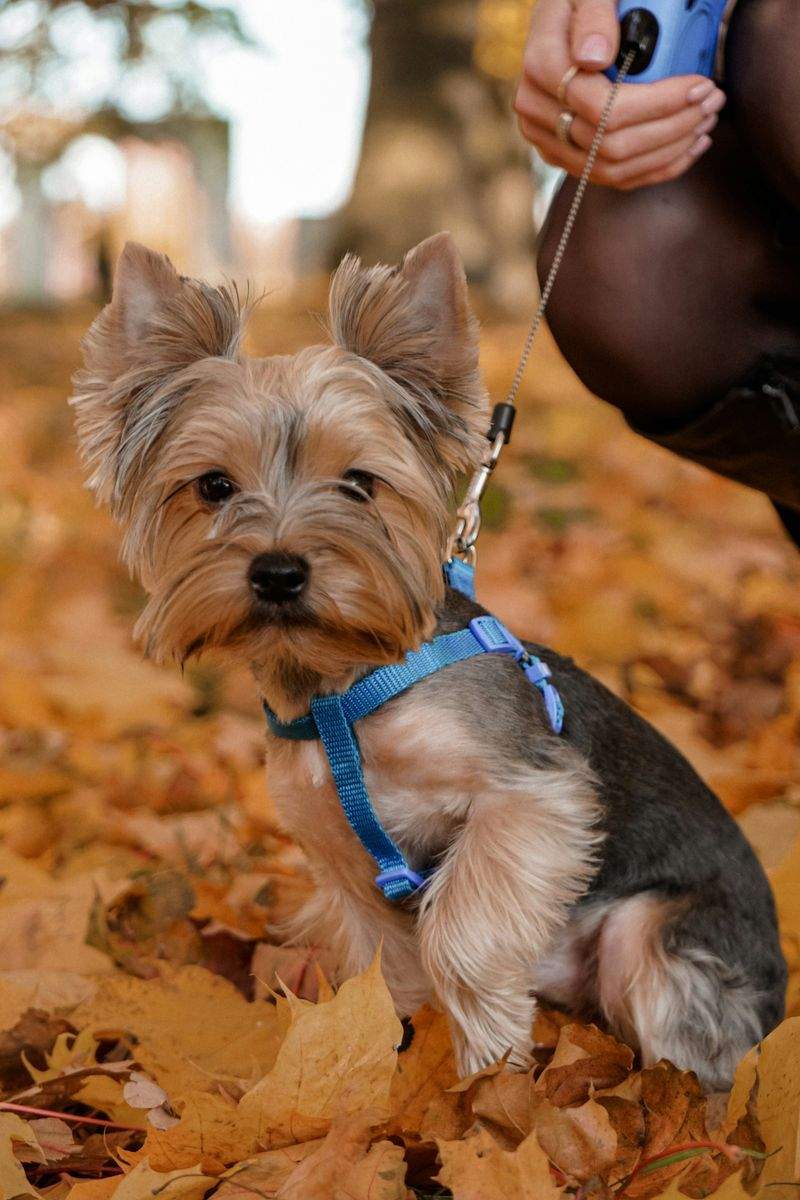 Luce d'Arte Fotografia - Image 1