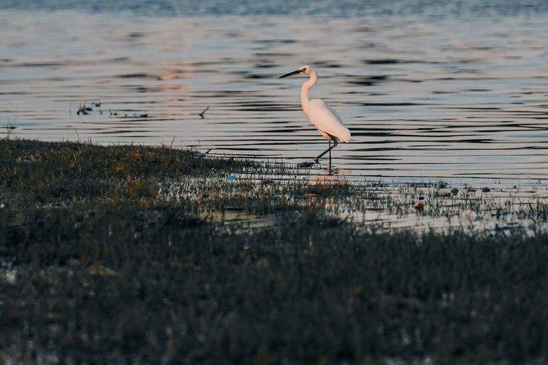 Luce d'Arte Fotografia - Image 10