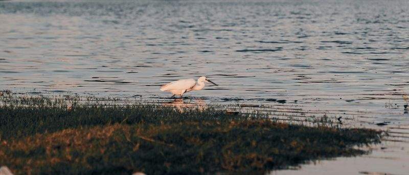 Luce d'Arte Fotografia - Image 12